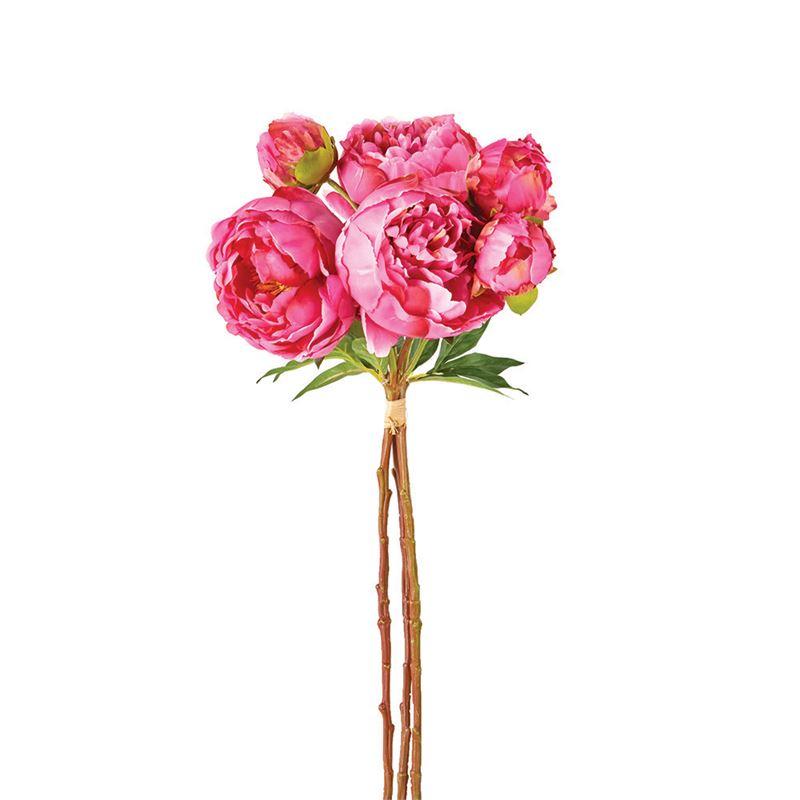 Peonies | 21'  Bundle of 3