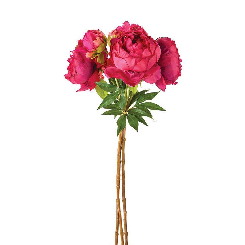 Peonies | 21'  Bundle of 3
