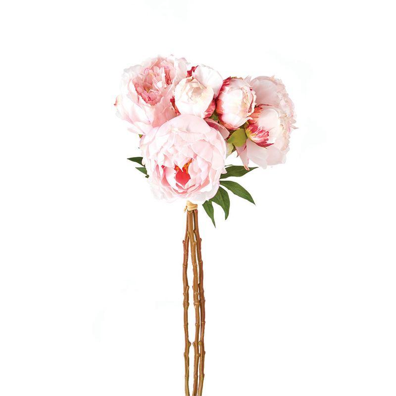 Peonies | 21'  Bundle of 3