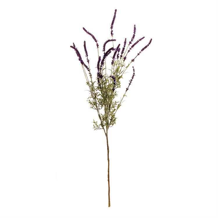 French Lavender Bush
