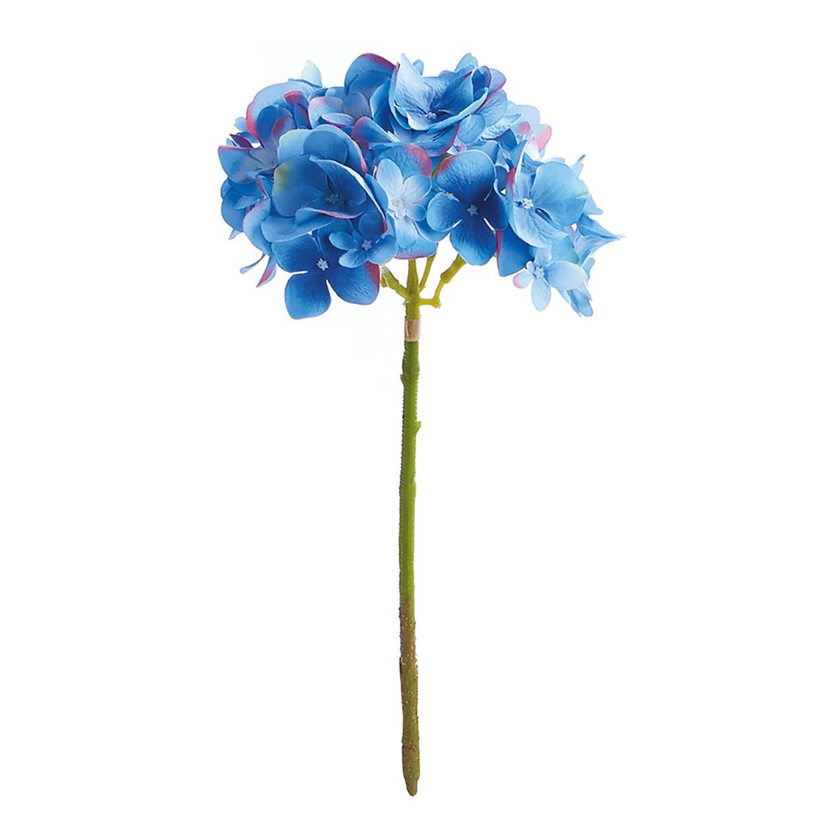 Blue Hydrangea Cutting 11"