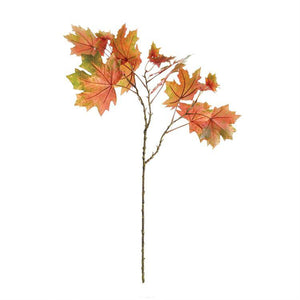 Maple Leaf Branch