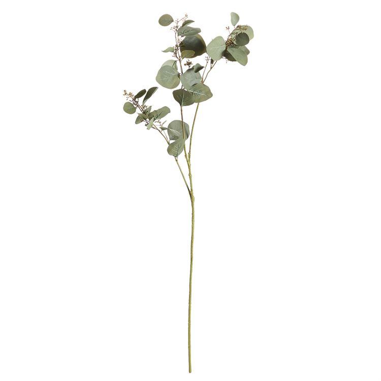 Silver Dollar Eucalyptus Branch 43"