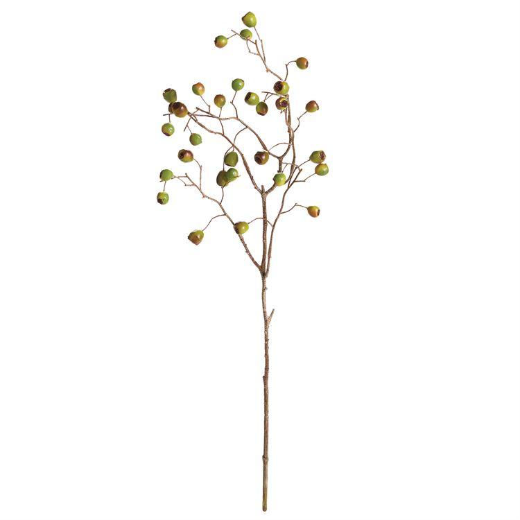 Green Berry Branch