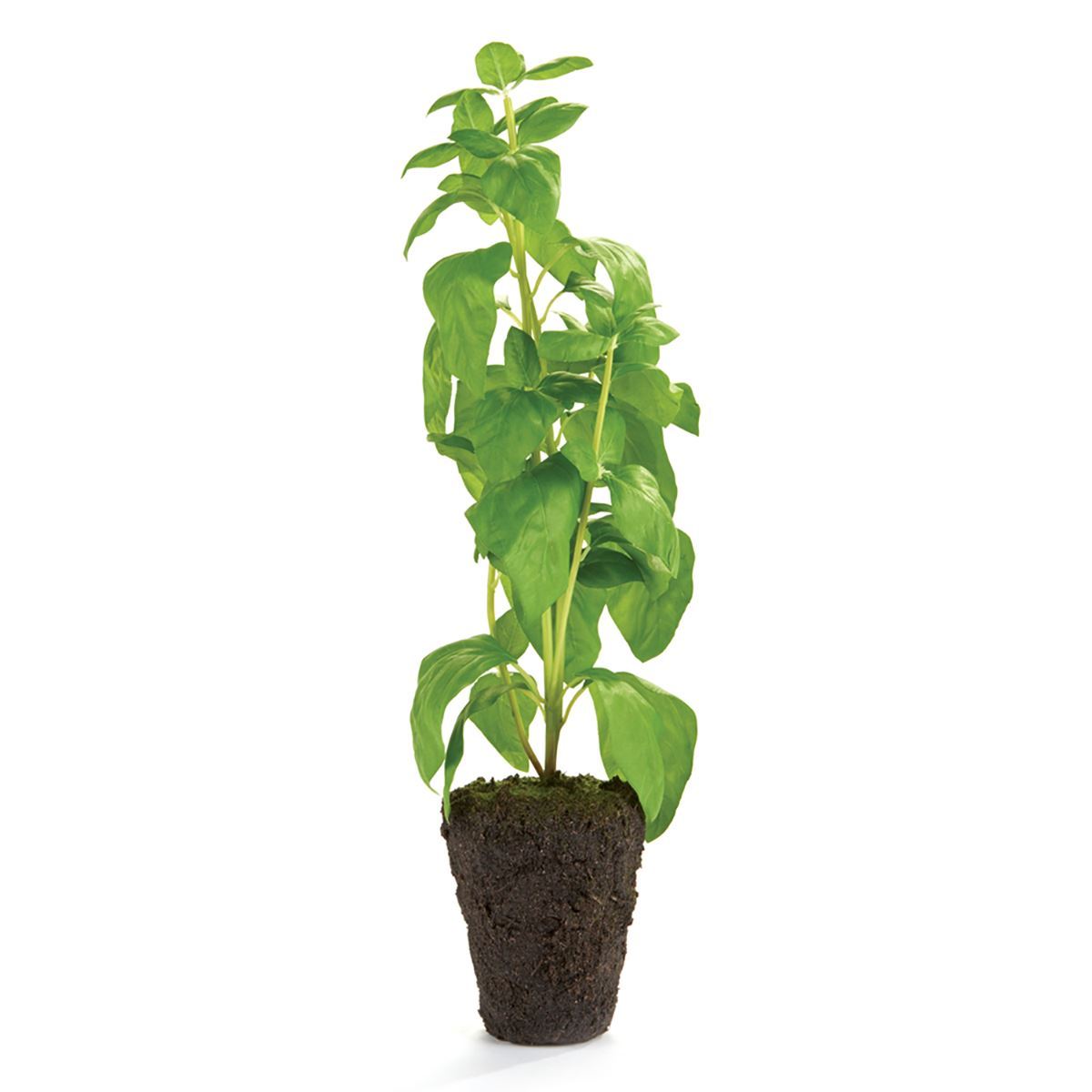 Basil Drop-In 18"