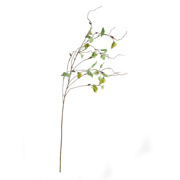 Hops Branch | 39"