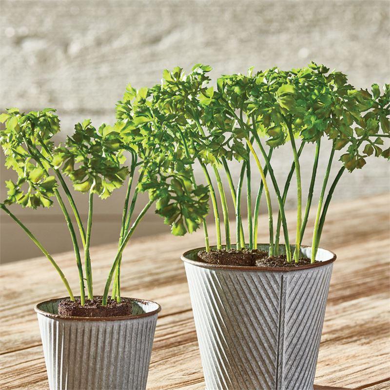 Parsley Drop-In 8"