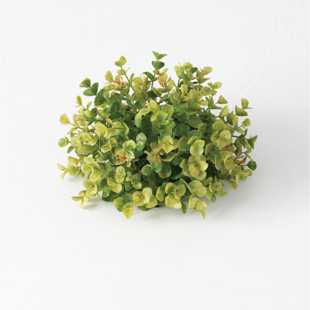 New England Boxwood 1/2 Orb