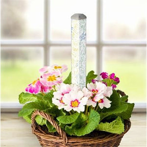 10" Mini Art Poles™