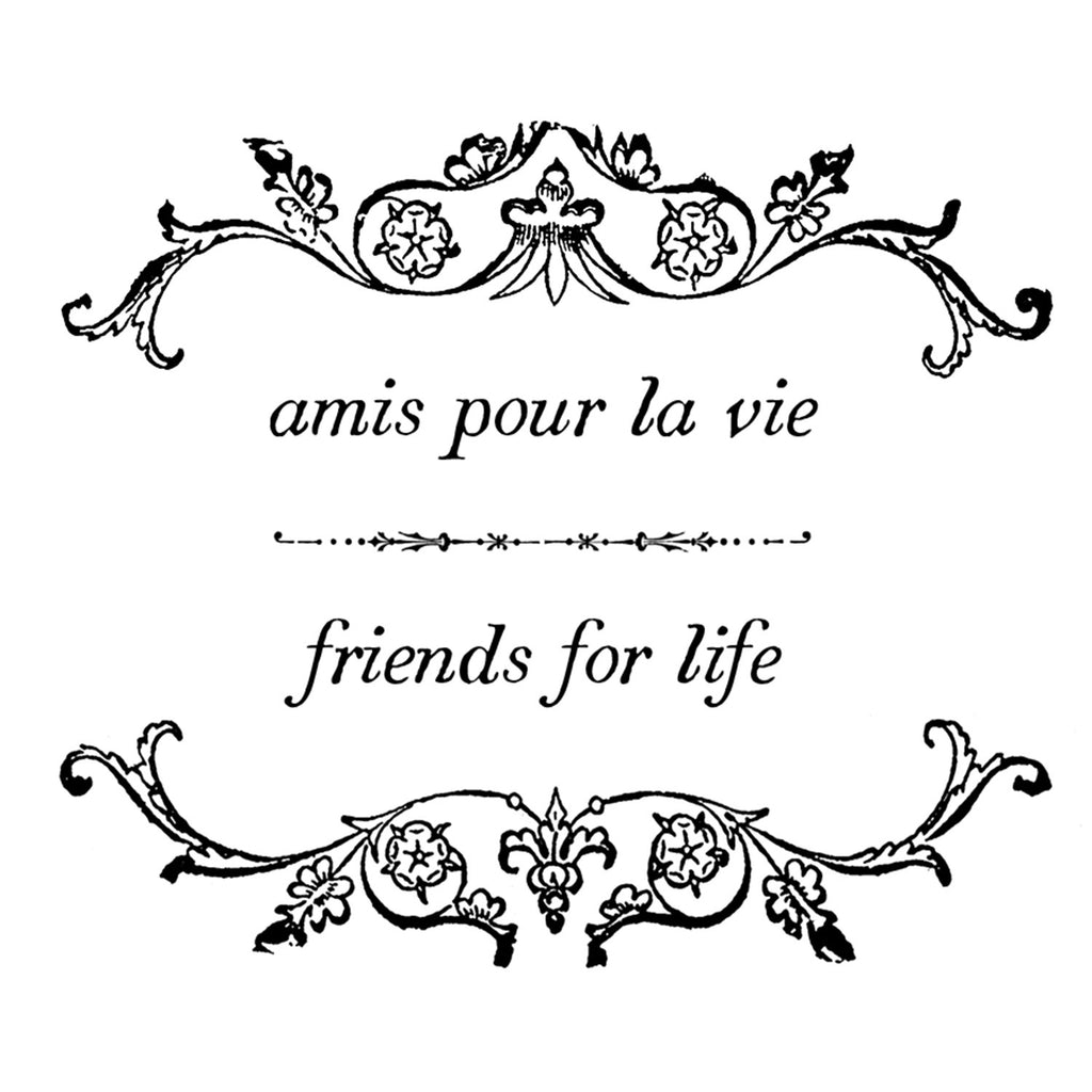 Friendship Notecards