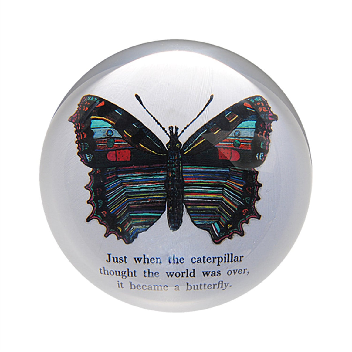 Paperweight - Butterfly