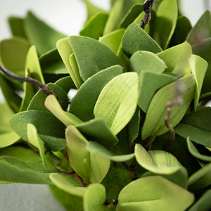 Ruscus Leafy Twig Spray