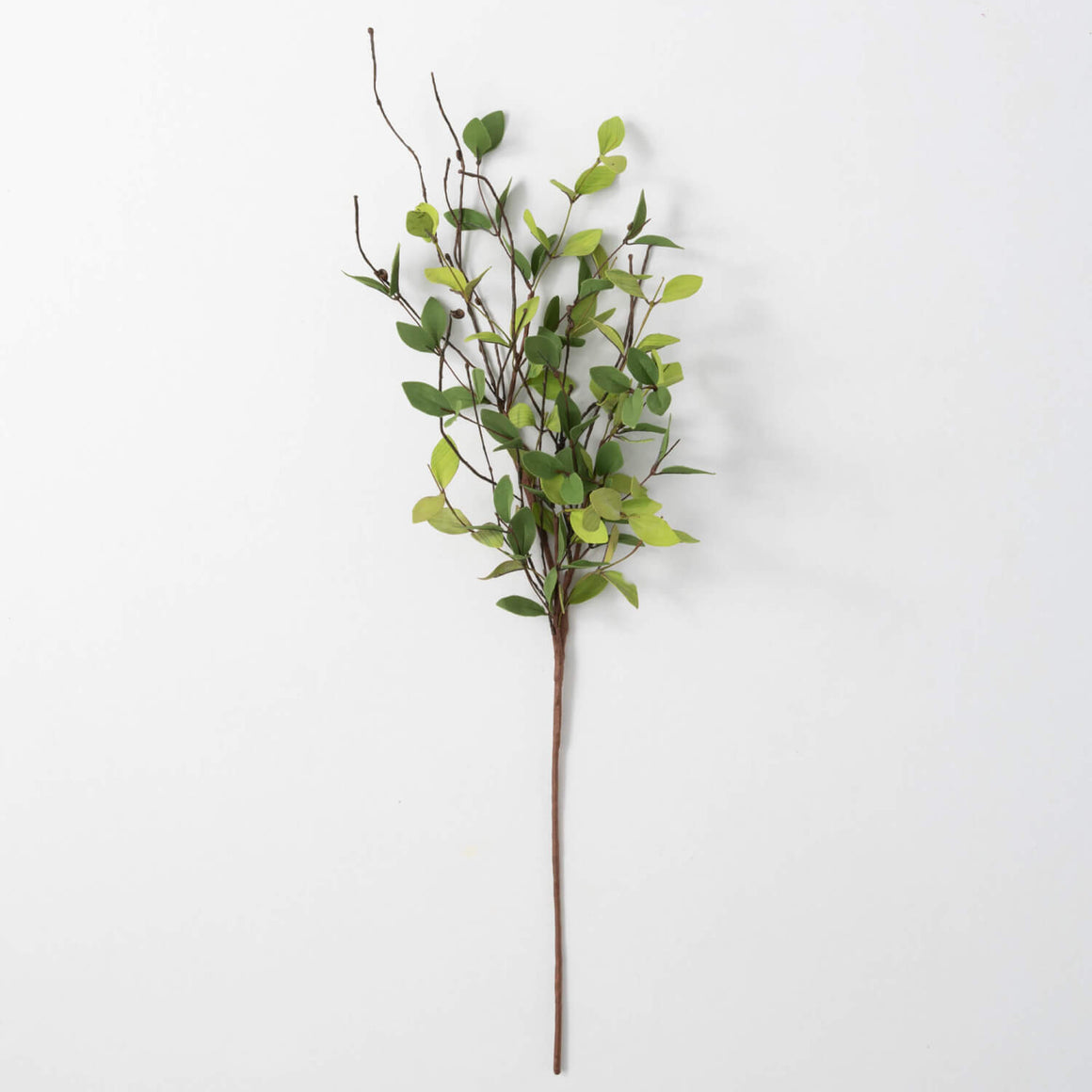 Ruscus Leafy Twig Spray