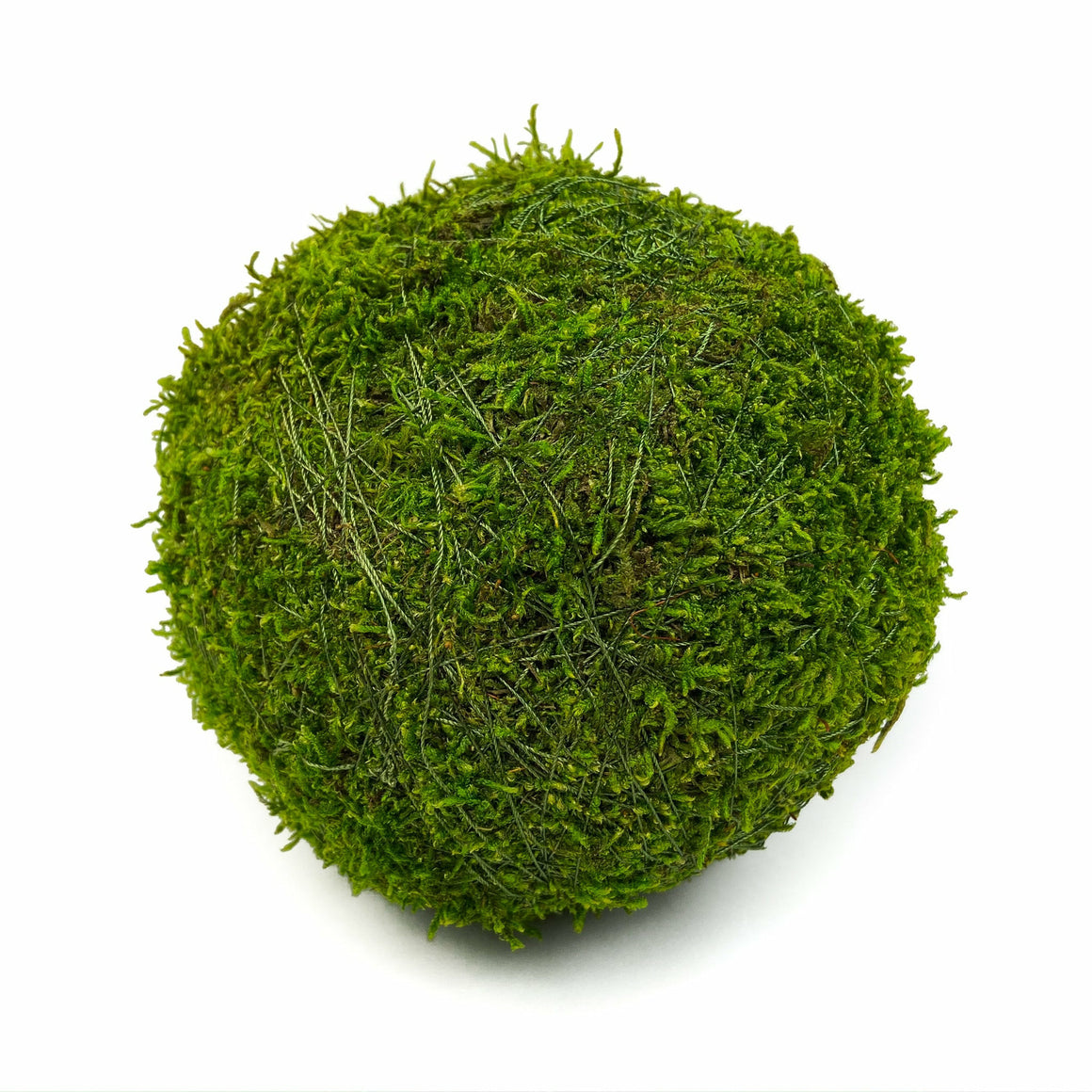 Preserved Moss Ball