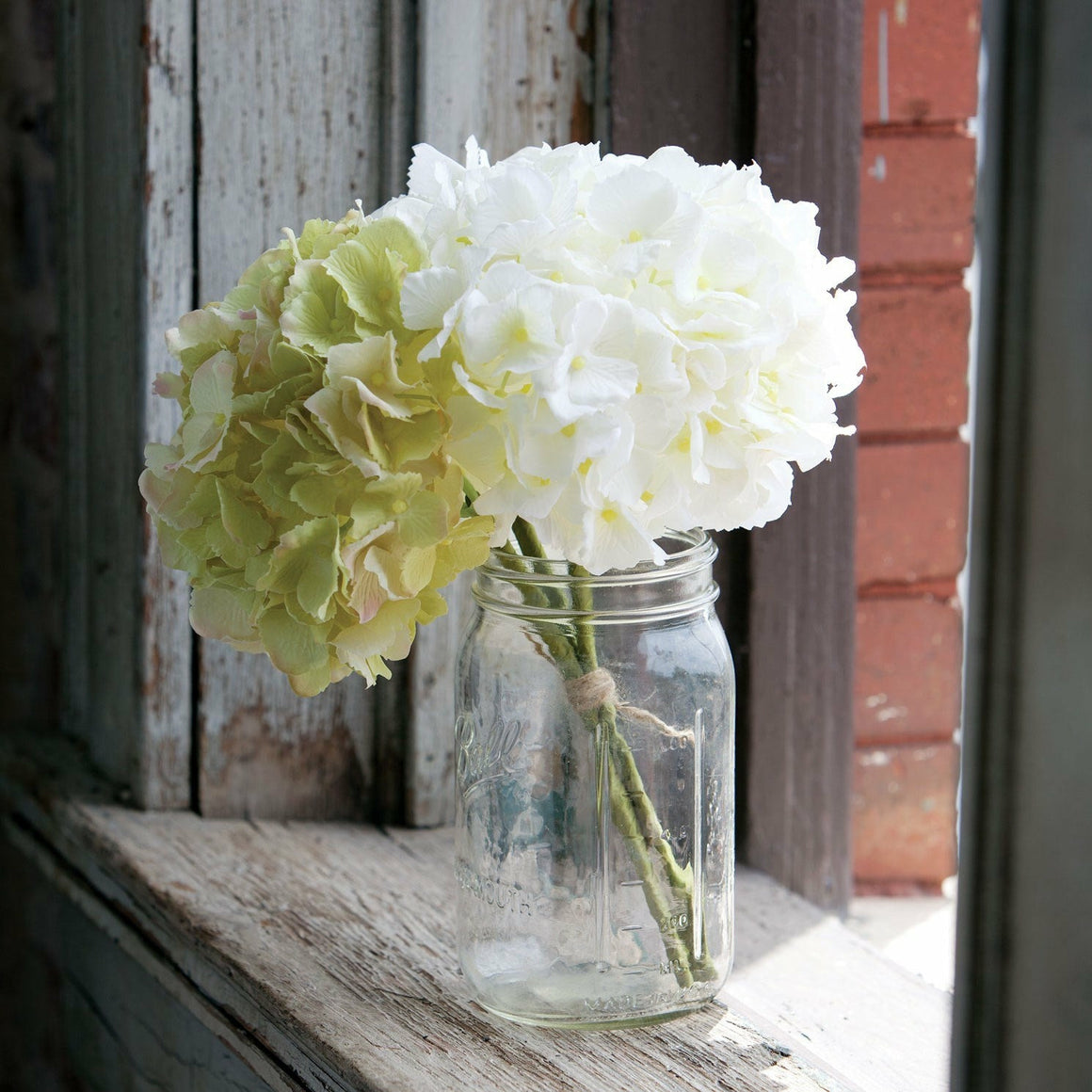 Hydrangea - Cream/Green - Individual Stems